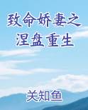 致命娇妻之涅盘重生小说全文免费阅读