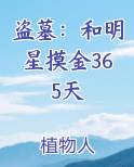 盗墓：和明星摸金365天