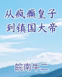 从疯癫皇子到镇国大帝小说下载