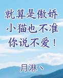 猫傲娇嘛