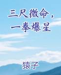 三尺微命，一拳爆星