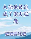 大佬她被迫成了宠夫狂魔