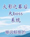 火影之幕后大boss系统