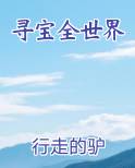 寻宝全世界