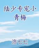 陆少专宠小青梅