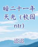 暗二十一年天光（校园ntr）