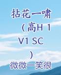 拈花一啸 （高H 1V1 SC）
