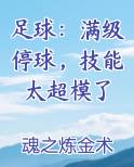 足球：满级停球，技能太超模了