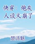 快穿:炮灰人设又崩了TXT下载