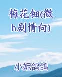 梅花妆 小说