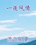 一夜风情