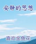安静的思想