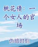桃花债：一个女人的官场
