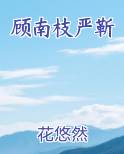 顾南枝严靳