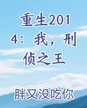重生2014：我，刑侦之王