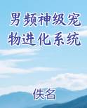 神级宠物进化系统主角