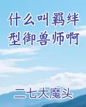 什么叫羁绊型御兽师啊
