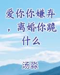 爱你你嫌弃，离婚你跪什么TXT小说