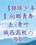 【排球少年】向群青奔去 (青叶城西高校の青春)