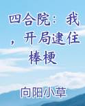 四合院：我，开局逮住棒梗