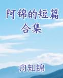 阿锦的短篇合集在线观看