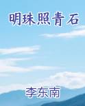 明珠照青石