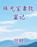 珠光宝妻致富记