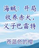 海贼：开局收养赤犬，义子巴雷特