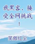 我黑客，接受全网挑战！免费观看