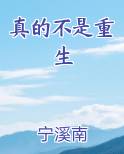 真的不是重生TXT下载精校版
