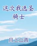 这次我选圣骑士
