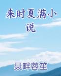 夏满末世小说