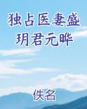 独占医妻盛玥君元晔