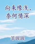 向来缘浅，奈何情深