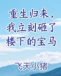 重生归来，我立刻砸了楼下的宝马完结小说