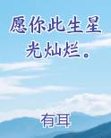 愿你此生星光灿烂。